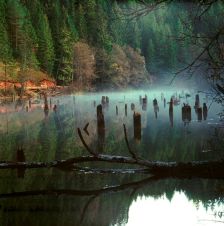 Killer Lake