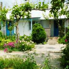 Rent a villa in Danube Delta